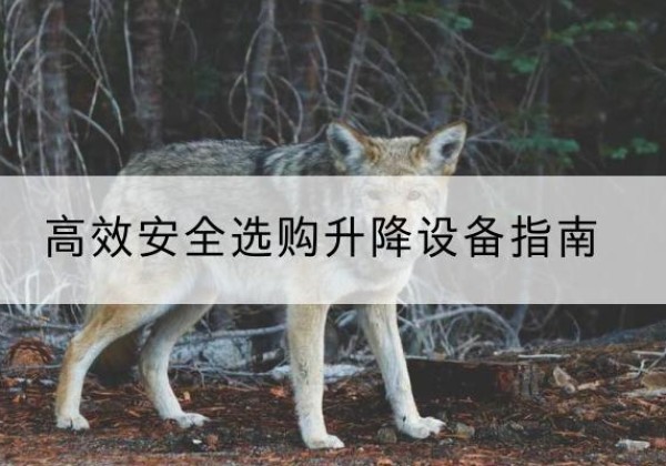 疏勒升降货梯厂家推荐-*安全选购升降设备指南