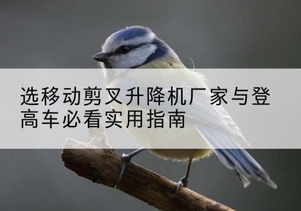 疏勒电动升降机厂家-选移动剪叉升降机厂家与登高车必看实用指南