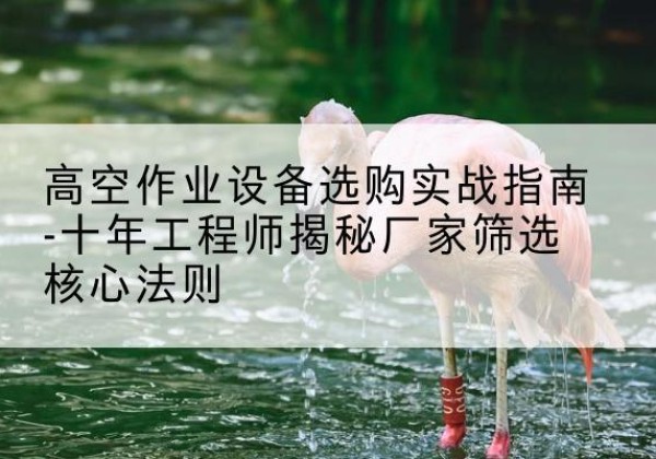 疏勒剪叉式升降机厂家-高空作业设备选购实战指南-十年工程师揭秘厂家筛选核心法则